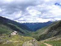 A, Tirol, Obergurgl, Langtalereck 1, Saxifraga-Jan Boersema